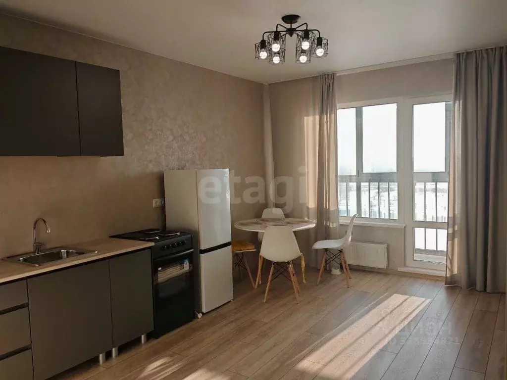 Студия Новосибирская область, Новосибирск Рельефная ул., 106 (30.4 м) - Фото 1