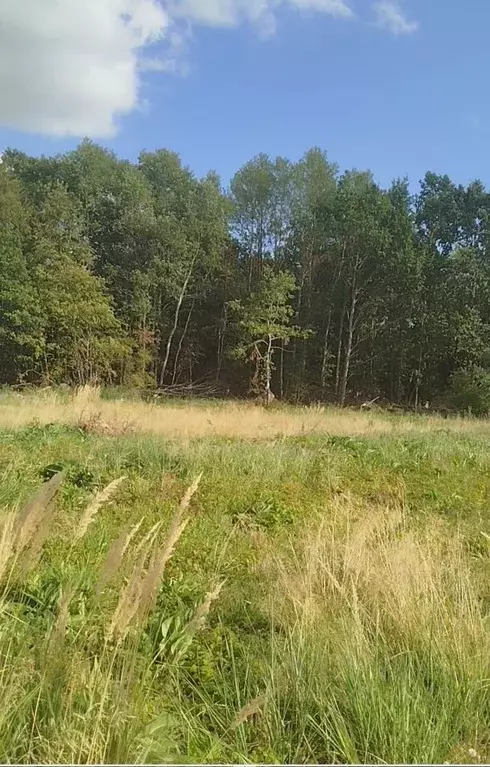 Участок в Калининградская область, Зеленоградск пос. Сосновка,  (100.0 ... - Фото 2