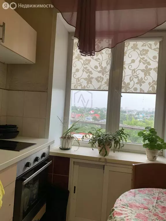 1-комнатная квартира: Новосибирск, Народная улица, 27 (30 м) - Фото 0