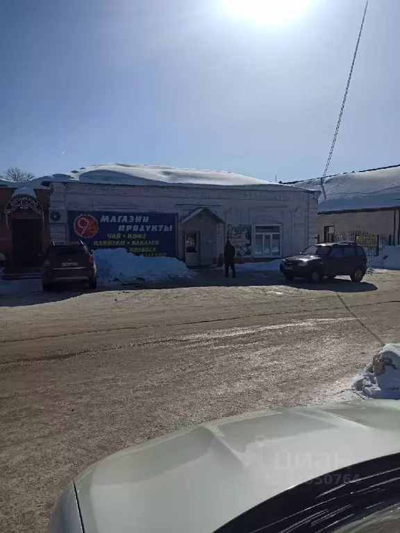 помещение свободного назначения в самарская область, с. борское ул. . - Фото 0