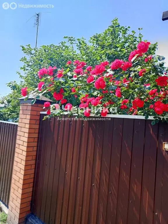 Дом в Новошахтинск, Антрацитовая улица (55 м) - Фото 0