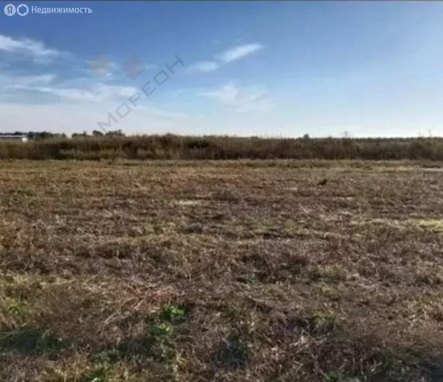 Участок в посёлок Агроном, улица им. М.П. Братчиковой, 36 (8.12 м) - Фото 1