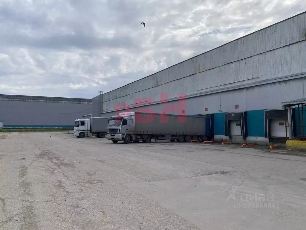 Склад в Самарская область, Самара ул. Земеца, 32лит354 (6300 м) - Фото 2