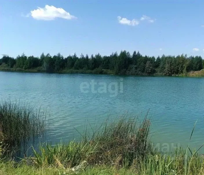 Участок в Ярославская область, Ярославский муниципальный округ, д. ... - Фото 1