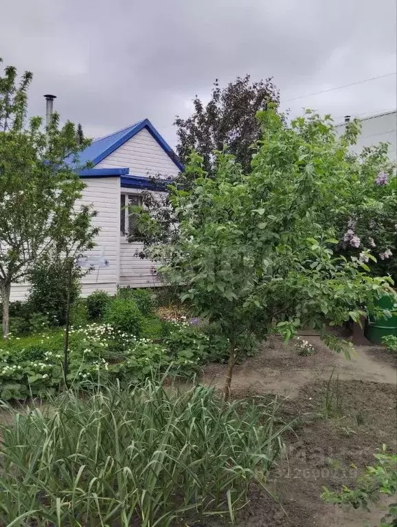 Дом в Тюменская область, Тюменский муниципальный округ, Водник СНТ ул. ... - Фото 2