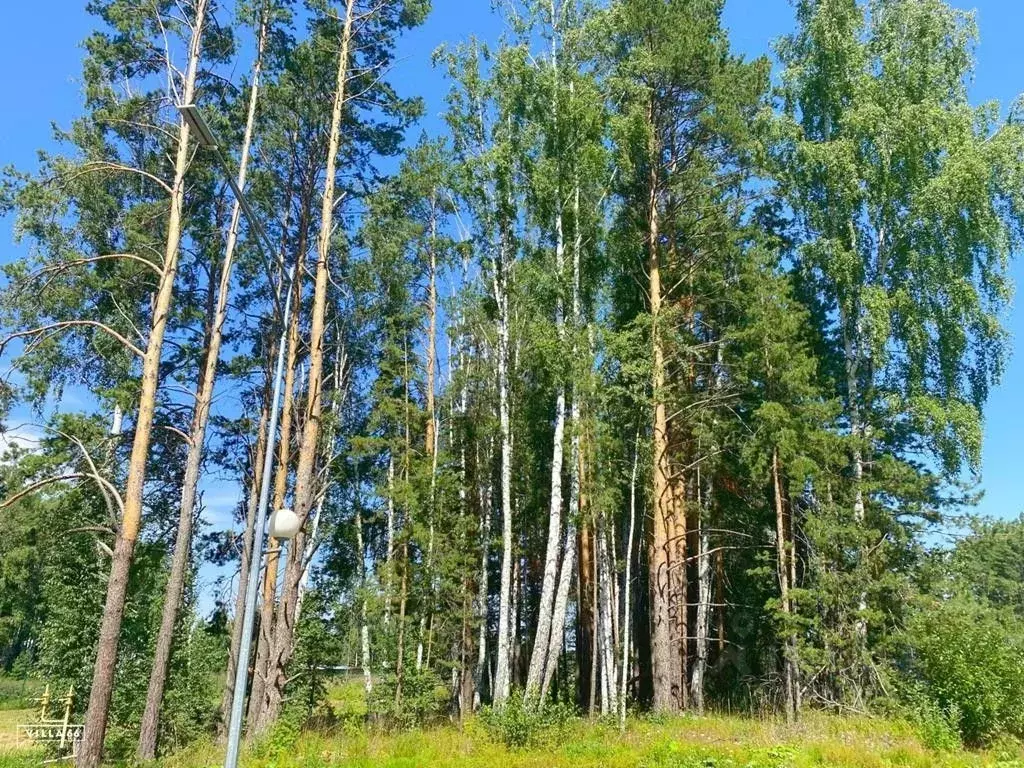 Участок в Свердловская область, Сысертский муниципальный округ, пос. ... - Фото 1