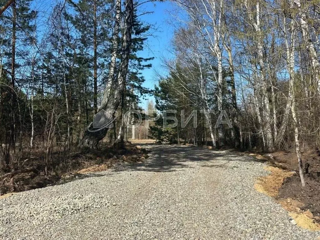 Участок в Тюменская область, Тюменский район, д. Головина  (15.0 сот.) - Фото 1
