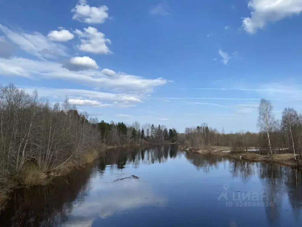 Дом в Новгородская область, Боровичский район, Опеченское с/пос, д. ... - Фото 2