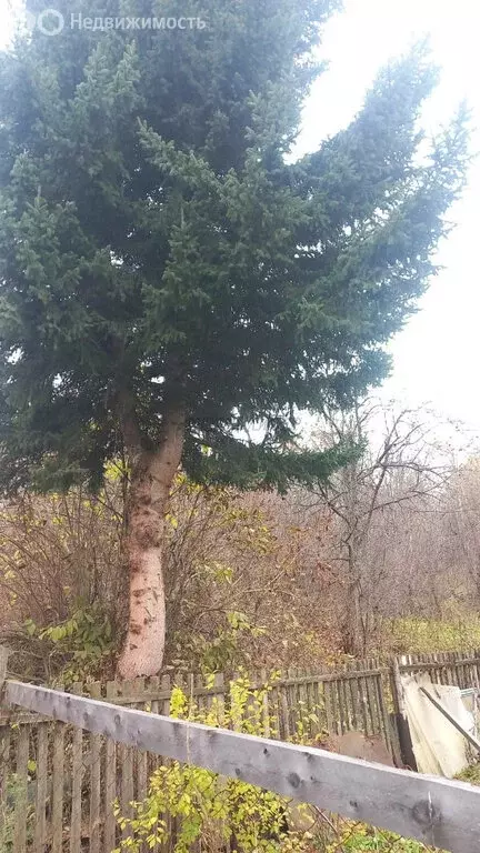 Участок в Горно-Алтайск, Поселковая улица (4.42 м) - Фото 1