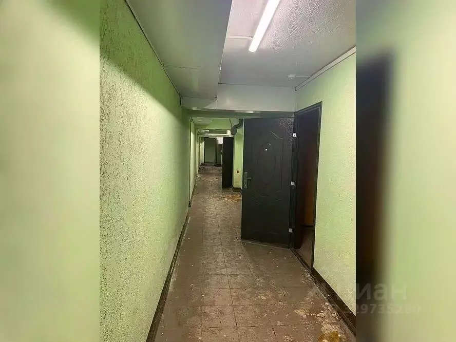Помещение свободного назначения в Воронежская область, Воронеж ул. ... - Фото 1