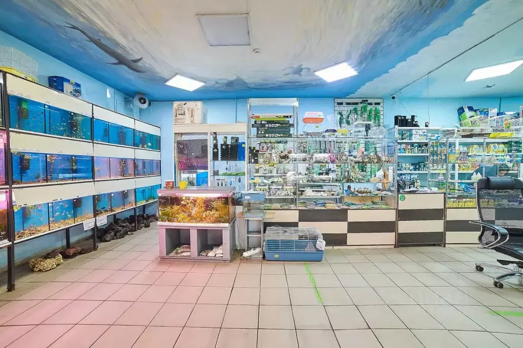 Офис в Башкортостан, Стерлитамак ул. Худайбердина, 62 (150 м) - Фото 1