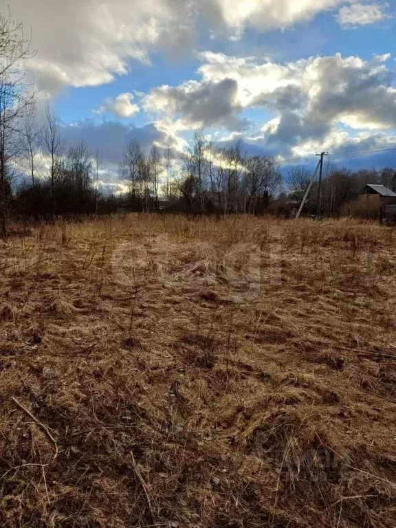 Участок в Московская область, Богородский городской округ, д. ... - Фото 1