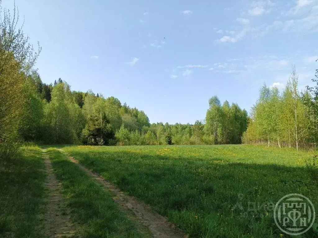 Участок в Ленинградская область, Выборгский район, пос. Поляны  (350.0 ... - Фото 2