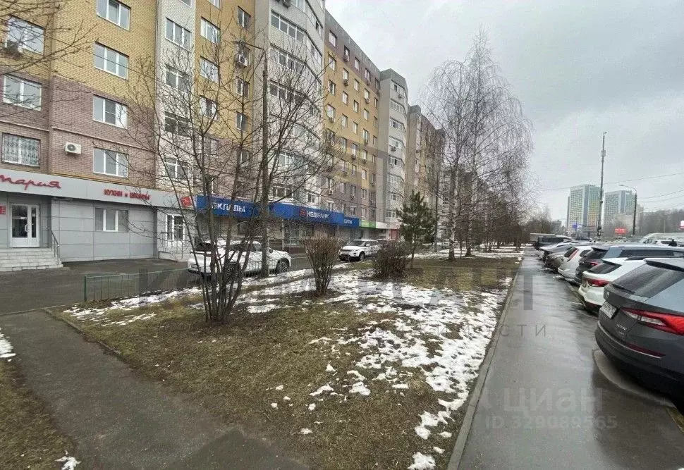 Торговая площадь в Нижегородская область, Нижний Новгород ул. ... - Фото 2