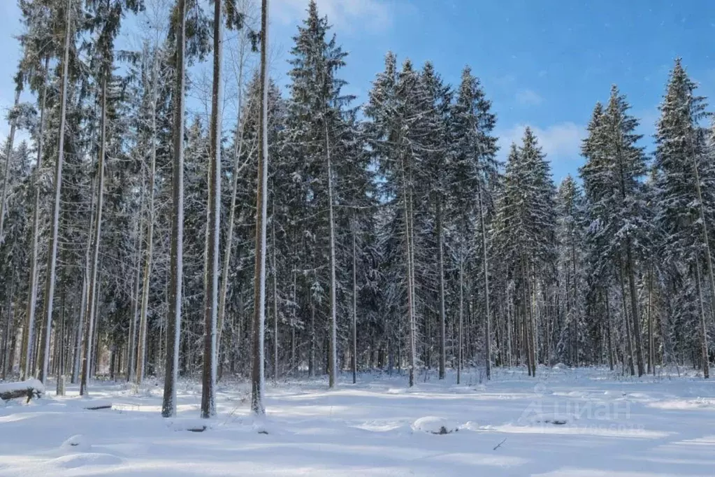 Участок в Московская область, Дмитровский муниципальный округ, ... - Фото 0