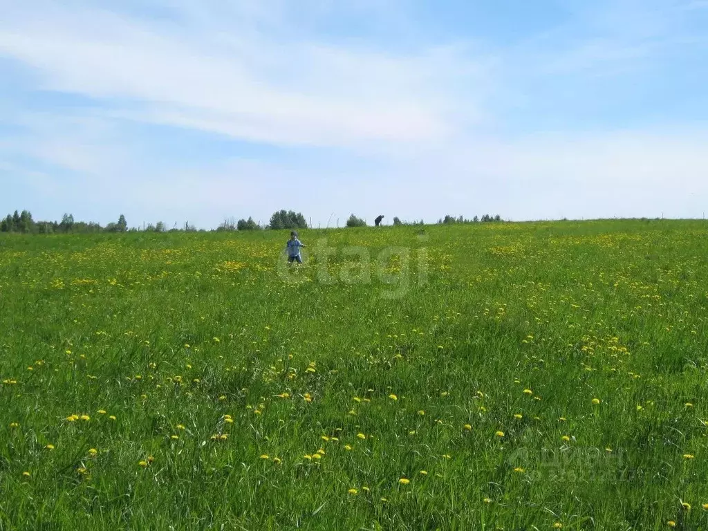 Участок в Вологодская область, Череповецкий район, Югское ... - Фото 1