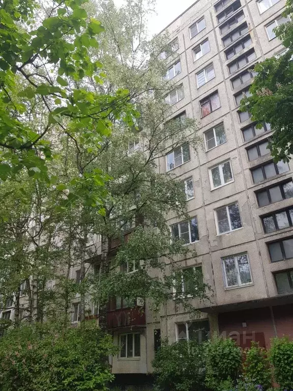 1-к кв. Санкт-Петербург Искровский просп., 31 (32.0 м) - Фото 0
