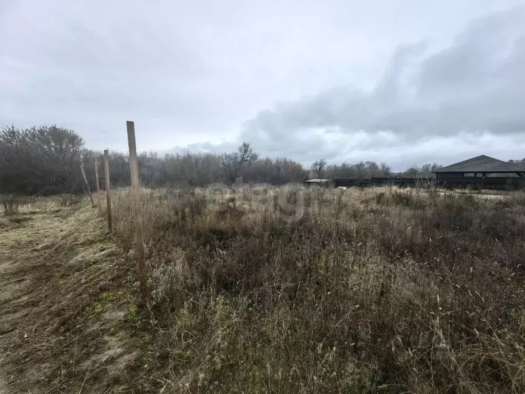 Участок в Воронежская область, Рамонский район, с. Ямное Набережная ... - Фото 2