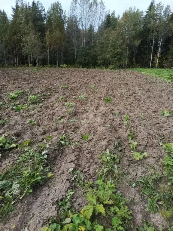 Участок в Коми, Сыктывдинский район, с. Выльгорт  (20.85 сот.) - Фото 1