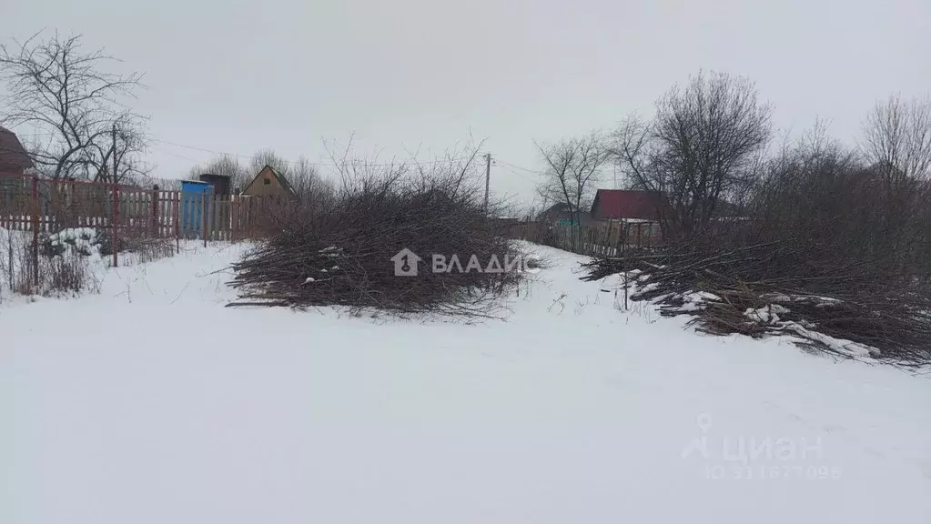 Участок в Владимирская область, Суздальский район, Павловское ... - Фото 1