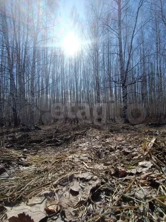 Участок 5,4 га (СНТ, ДНП) - Фото 0