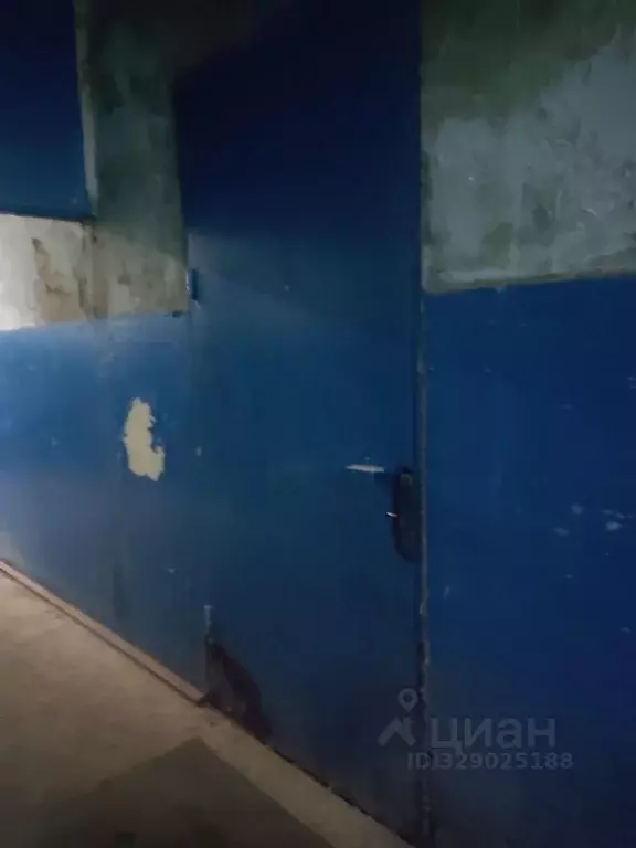 Помещение свободного назначения в Нижегородская область, Заволжье г. ... - Фото 1