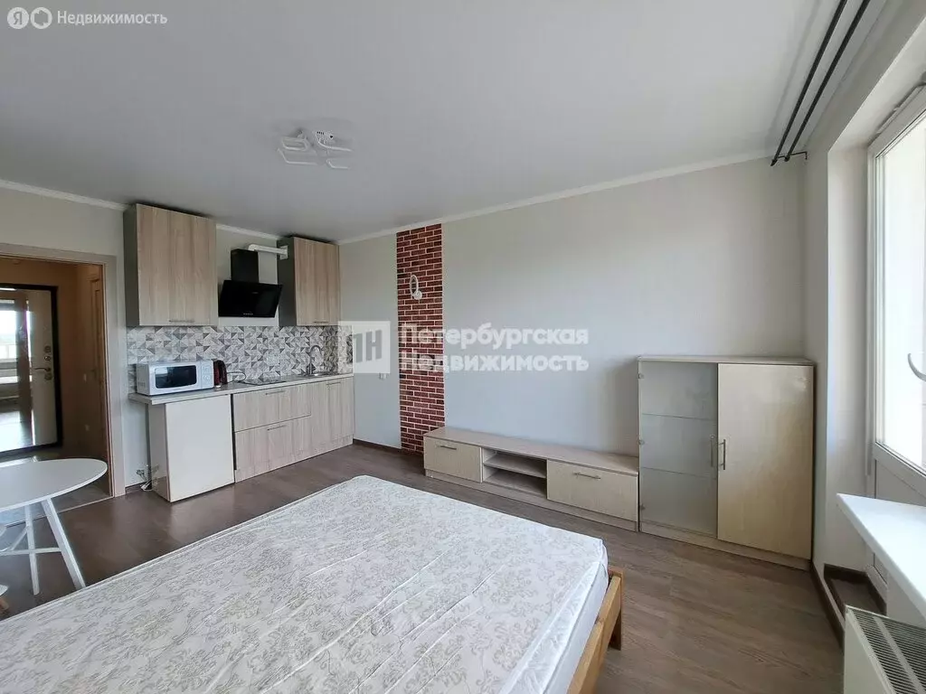 Квартира-студия: посёлок Парголово, Тихоокеанская улица, 18к4 (25 м) - Фото 1