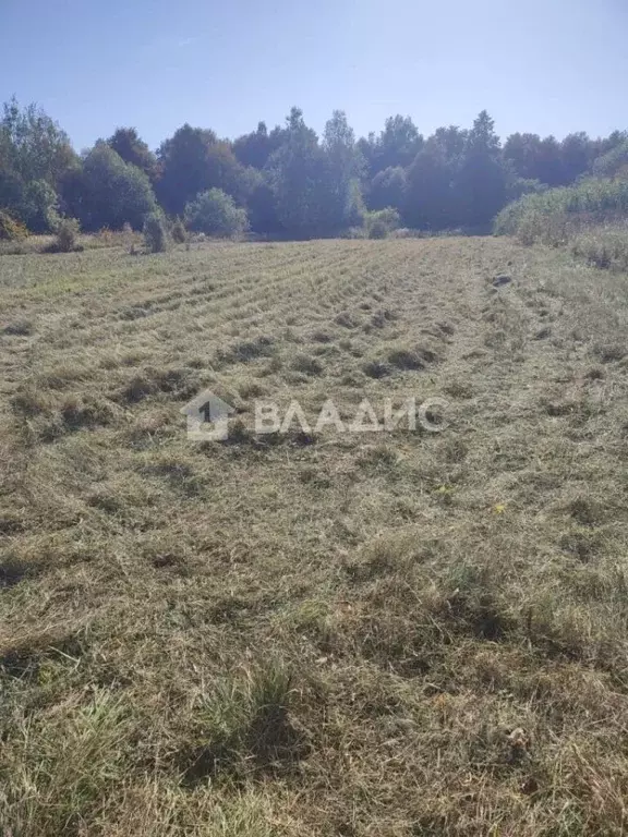 Участок в Владимирская область, Собинский муниципальный округ, д. ... - Фото 2