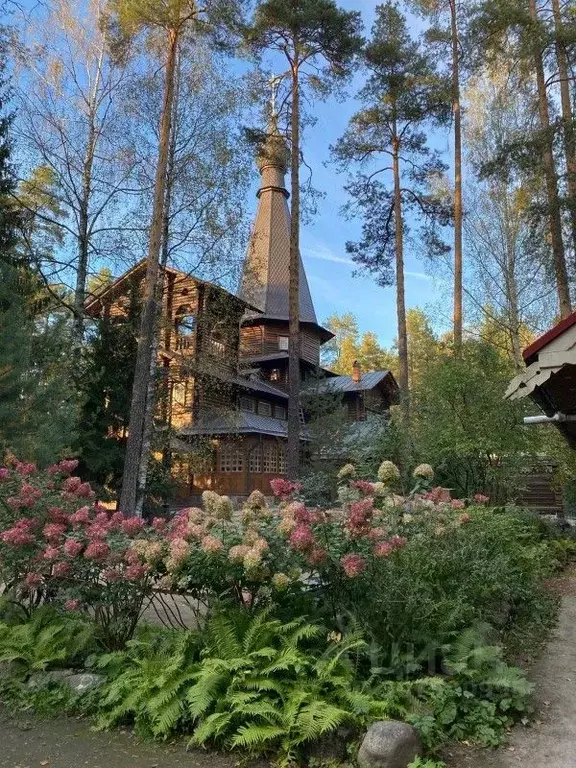 Участок в Ленинградская область, Гатчинский район, Вырица городской ... - Фото 1