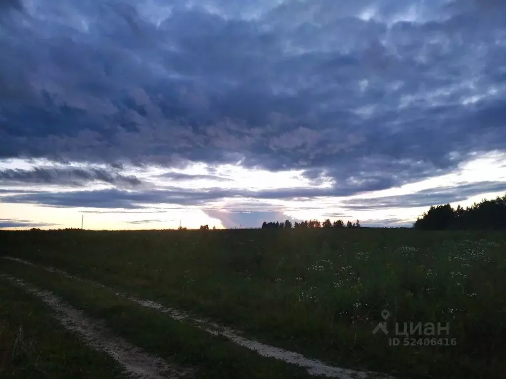 Участок в Владимирская область, Александровский район, д. ... - Фото 0