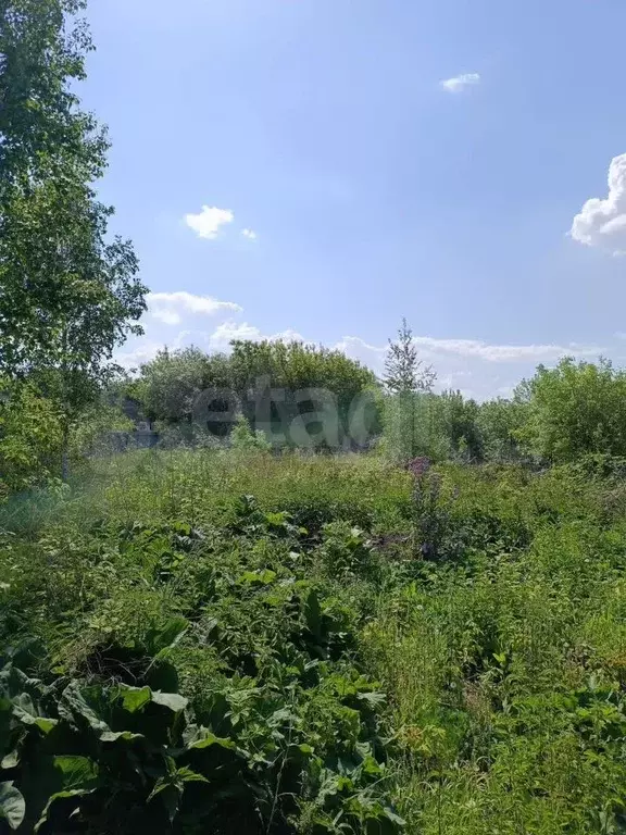 Участок 6,4 сот. (СНТ, ДНП) - Фото 1