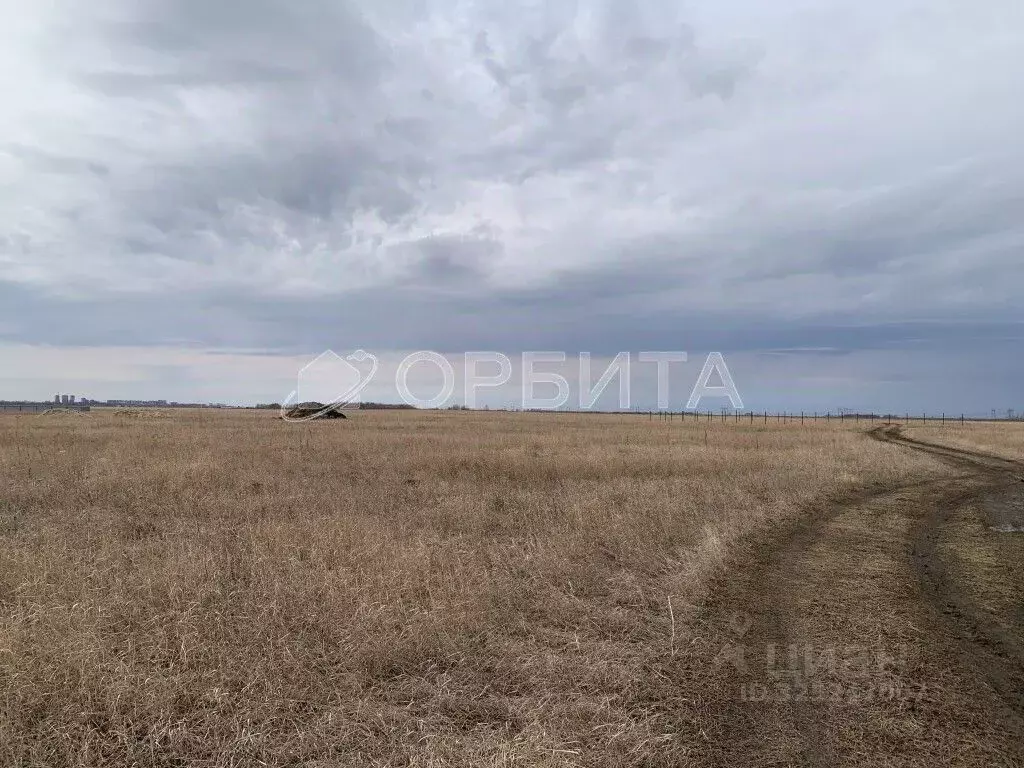 Участок в Тюменская область, Тюменский муниципальный округ, с. Чикча  ... - Фото 1