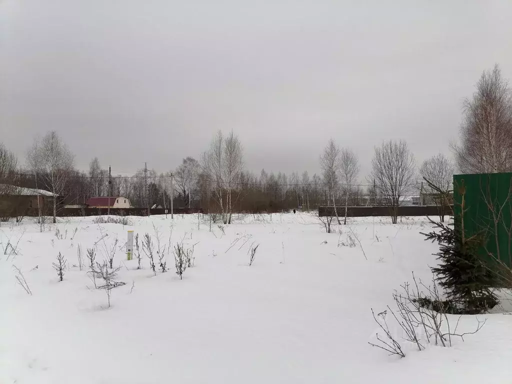 Участок в Московская область, Чехов городской округ, д. Манушкино ... - Фото 1