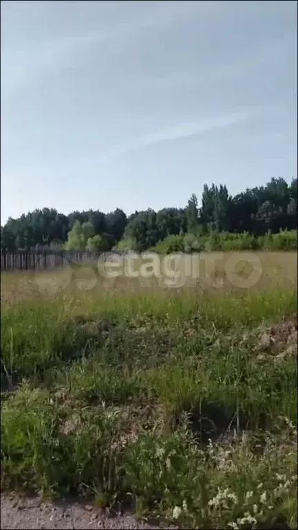 Участок 10 сот. (ИЖС) - Фото 0