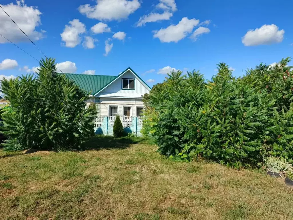 Дом в Белгородская область, Борисовка рп ул. Новоборисовская, 18 (80 ... - Фото 1