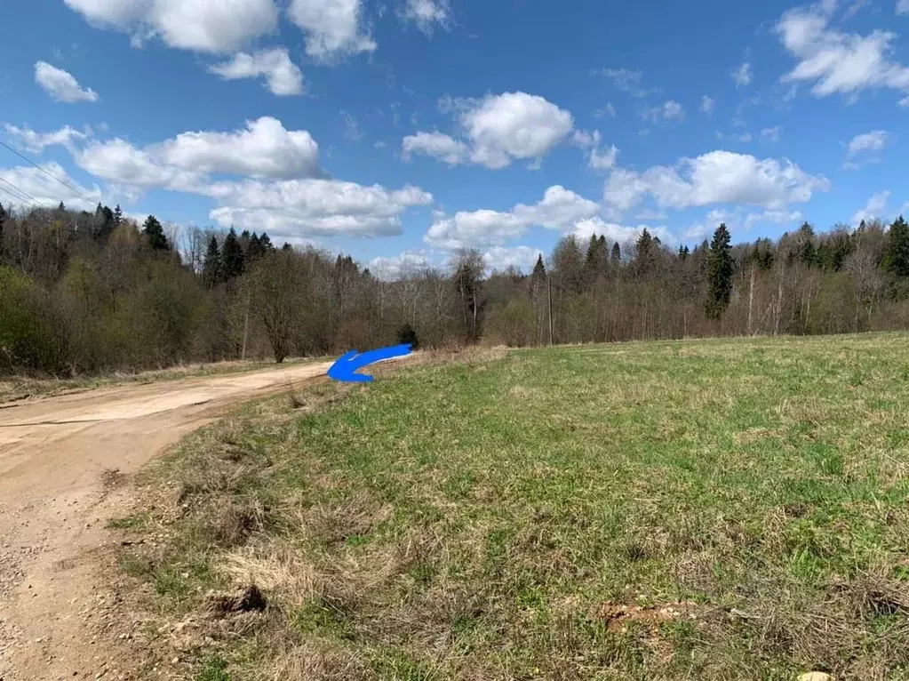 Участок в Московская область, Сергиево-Посадский городской округ, д. ... - Фото 2