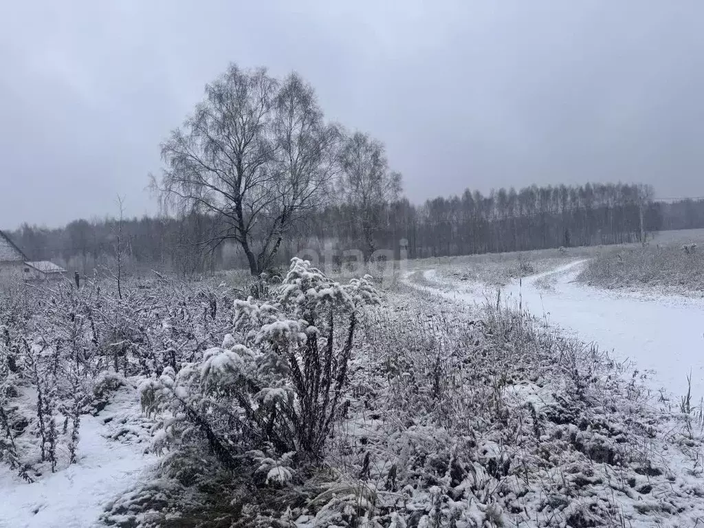 Участок в Нижегородская область, Балахнинский муниципальный округ, д. ... - Фото 0