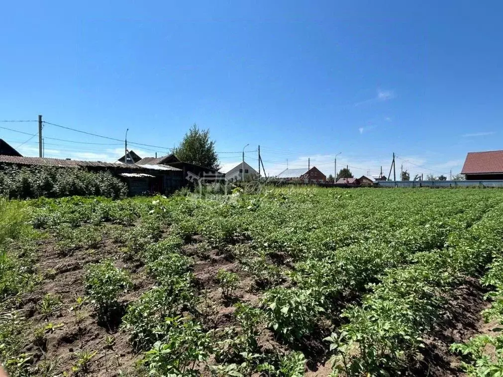 Участок в Иркутская область, Иркутский район, с. Оек ул. Октября, 37 ... - Фото 1