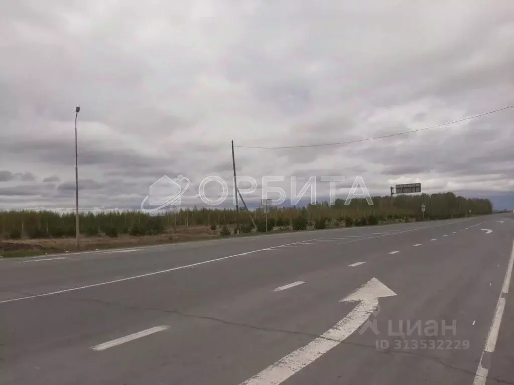 Участок в Тюменская область, Нижнетавдинский район, с. Иска ул. ... - Фото 1