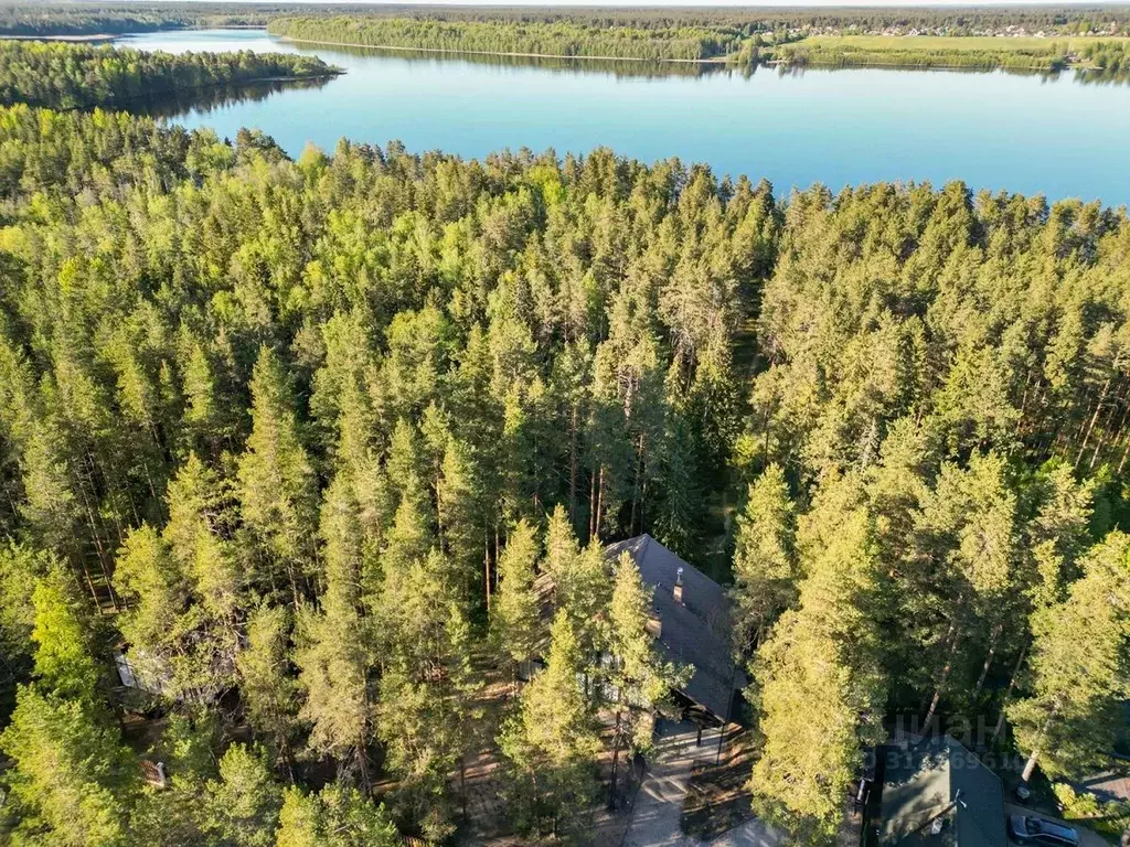 Дом в Ленинградская область, Выборгский район, Рощинское городское ... - Фото 1
