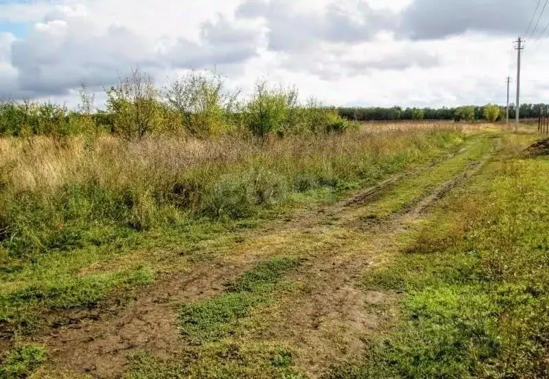 Участок в Курская область, Курский район, Нижнемедведицкий сельсовет, ... - Фото 1
