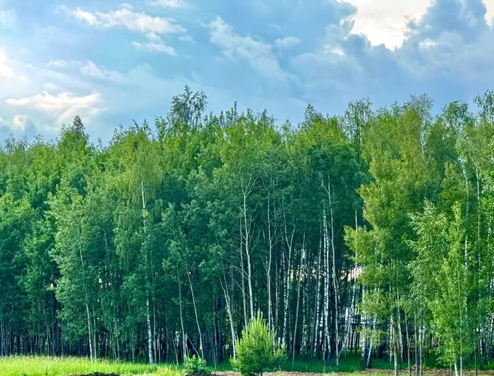 Участок в Московская область, Красногорск городской округ, д. ... - Фото 2