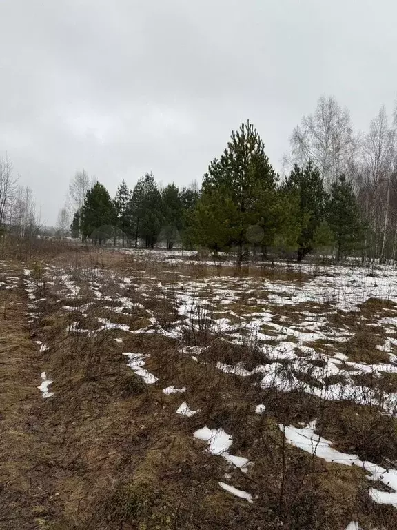 Участок 22 сот. (ИЖС) - Фото 1