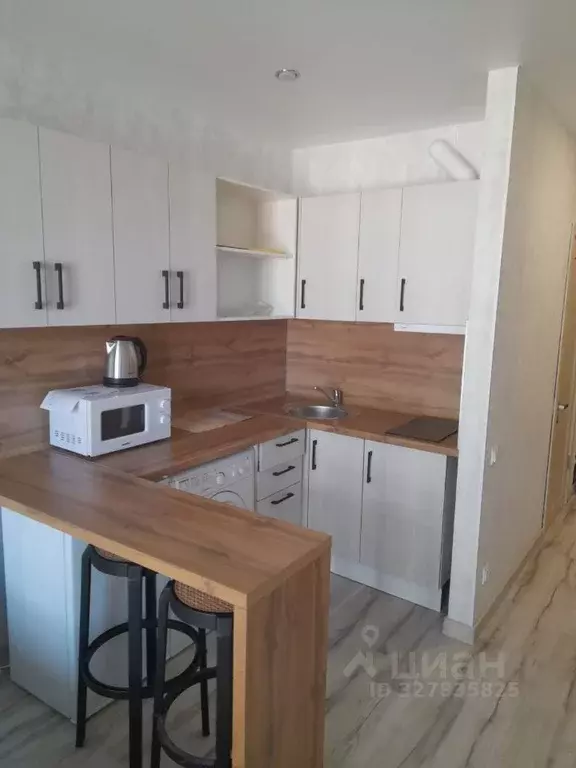 Студия Краснодарский край, Сочи Бытха мкр, ул. Ясногорская, 16/6к5 ... - Фото 2