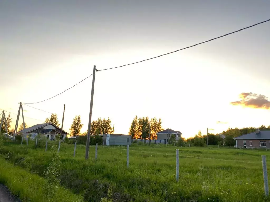 Участок в Новгородская область, Новгородский район, Ракомское с/пос, ... - Фото 1