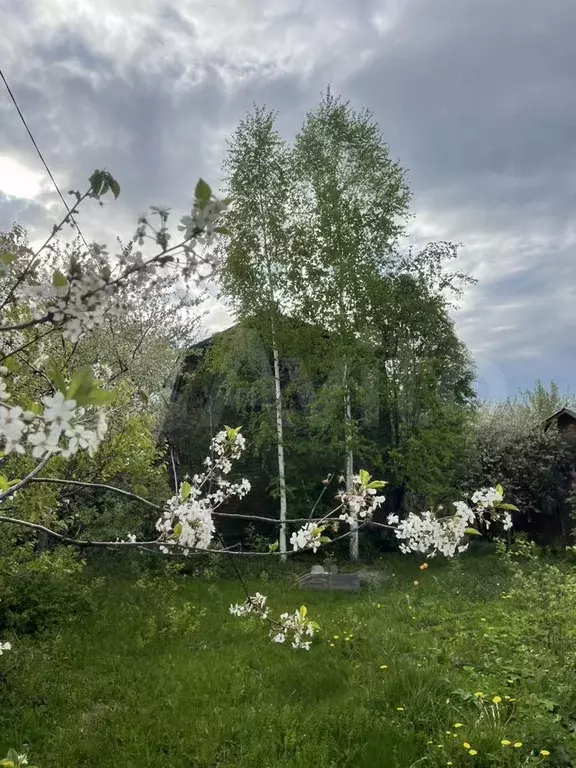 Дача 50 м на участке 4,2 сот. - Фото 0