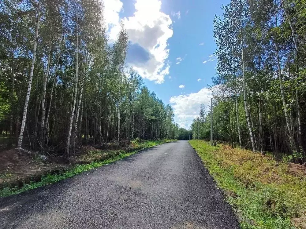 Участок в Владимирская область, Александровский район, Каринское ... - Фото 0