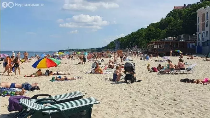 1-комнатная квартира: Пионерский, Рабочая улица, 44 (30 м) - Фото 1