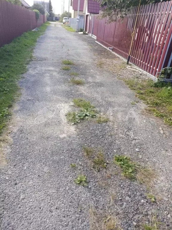 Участок в Тюменская область, Тюмень Луч СНТ, ул. Цветочная (9.54 сот.) - Фото 2