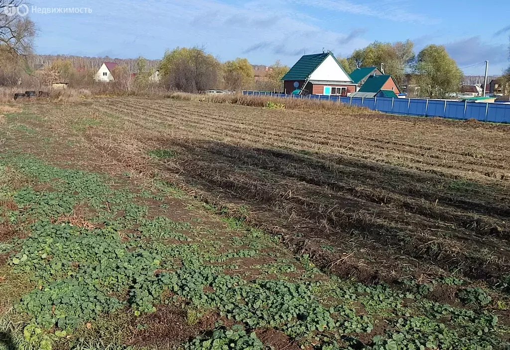 Участок в село Криводановка, Октябрьская улица, 98 (19.91 м) - Фото 0